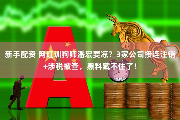 新手配资 网红训狗师潘宏要凉？3家公司接连注销+涉税被查，黑料藏不住了！