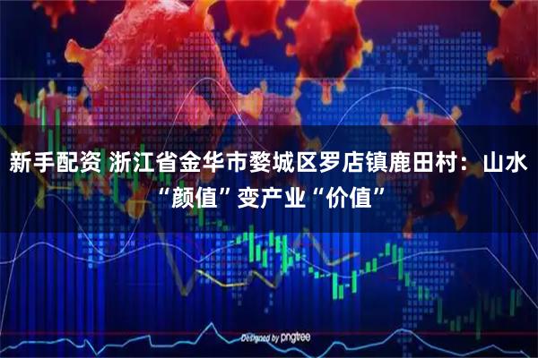 新手配资 浙江省金华市婺城区罗店镇鹿田村：山水“颜值”变产业“价值”