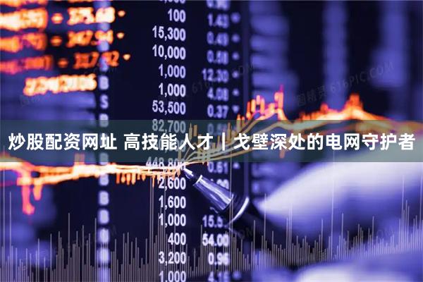 炒股配资网址 高技能人才｜戈壁深处的电网守护者