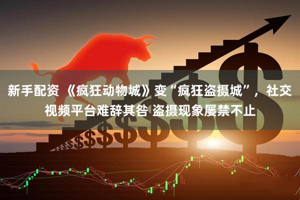 新手配资 《疯狂动物城》变“疯狂盗摄城”，社交视频平台难辞其咎 盗摄现象屡禁不止