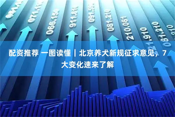 配资推荐 一图读懂｜北京养犬新规征求意见，7大变化速来了解