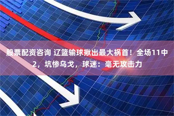 股票配资咨询 辽篮输球揪出最大祸首！全场11中2，坑惨乌戈，球迷：毫无攻击力
